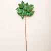 28" Emerald Green Poinsettia Stem Set Of 4