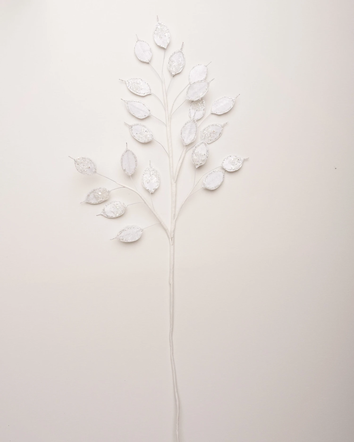 37" Snow White Money Plant Leaf Set Of 6 1 37" Snow White Money Plant Leaf Set Of 6