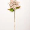 27" Taupe Velvet Sequin Poinsettia Stem Set Of 12