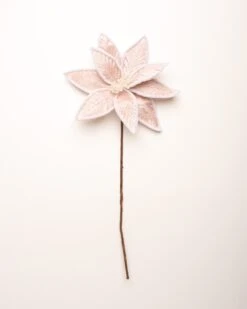 24" Cotton Candy Poinsettia Stem Set Of 12