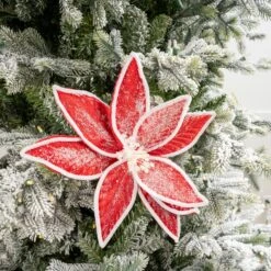 24" Cotton Candy Poinsettia Stem Set Of 12 -Christmas Decoration Shop 4390204904 1