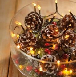 47 FT 192 LED Warm White Black Wire 8 Function Twinkle Battery Operated