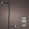 33 FT 100 LED Dancing Warm White & Color Changing Green Wire With Remote Control
