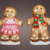 18" 48 LED Cool White Battery Operated Outdoor Gingerbread Couple Set